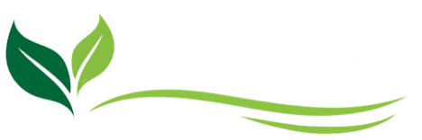 Yenikent Fide logosu